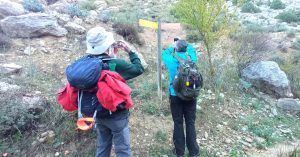 Bifurcación del Camino Equipado Amanaderos de Riodeva. Teruel, Aragón.
