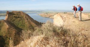 Borde del Sendero de las Barrancas de Castrejón. Burujón, Toledo. Castilla la Mancha.