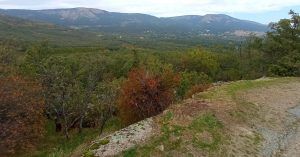 Bosque de la Herrería. El Escorial. Comunidad de Madrid.