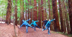 Bosque de Secuoyas de Cabezón de la Sal. Cantabria.