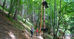 Bosque del Cañón de las Siete Escaleras (Canionul Sapte Scări). Montes Cárpatos. Timisu de Jos. Brasov. Transilvania. Rumanía.