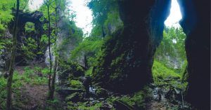 Bosque Pokljuka Soteska. Krinica, Alta Carnolia. Gorenjska, Parque Nacional de Trivlav. Eslovenia.