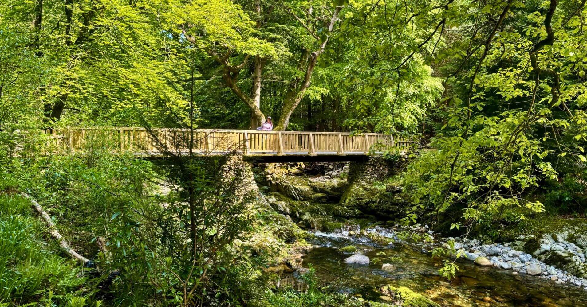 Bosque Tollymore Forest Park. Irlanda del Norte y Juego de Tronos.