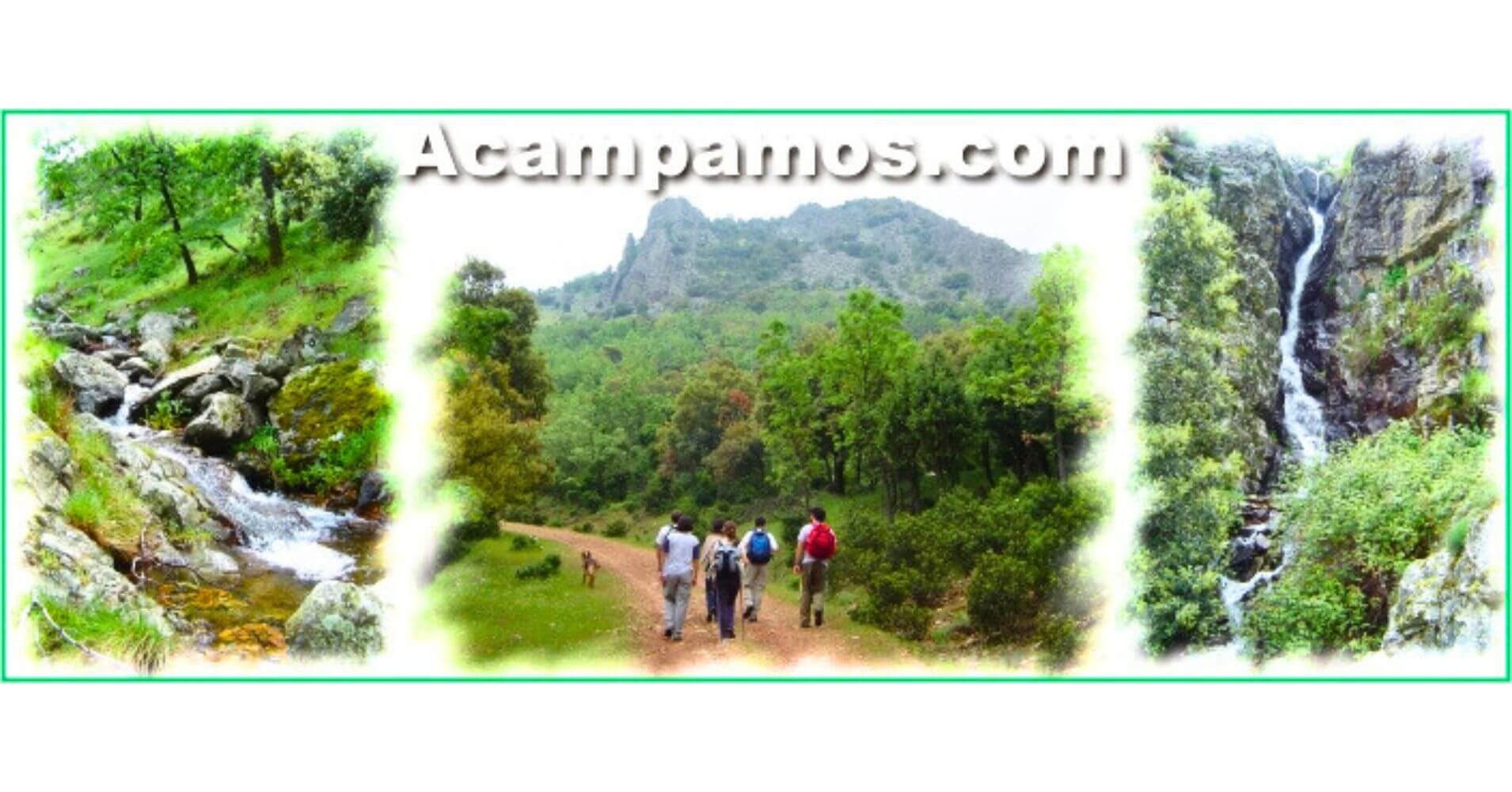 Bosques de Hontanar en los Montes de Toledo.