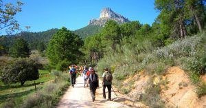 Bosques de la Sierra de Segura. Albacete.