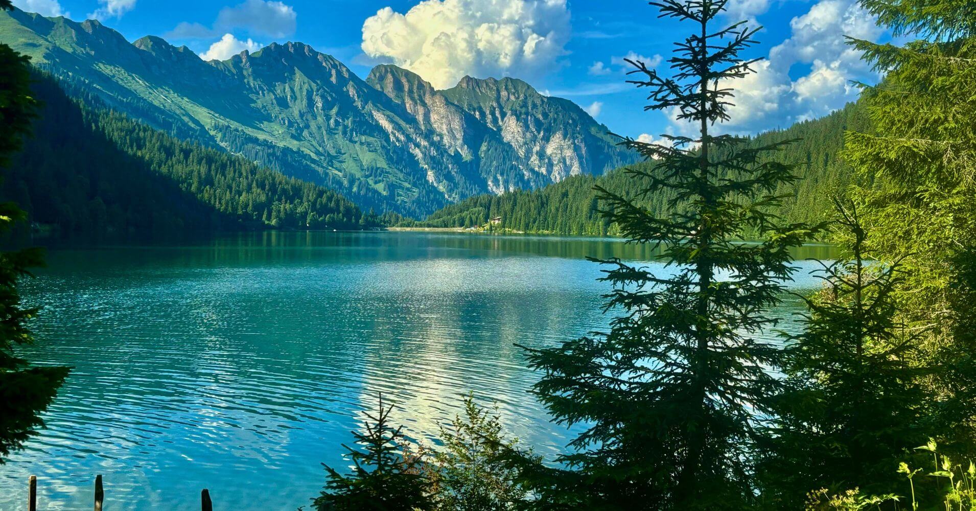 Bosques del Lago Arnensee. Gstaad, Suiza.
