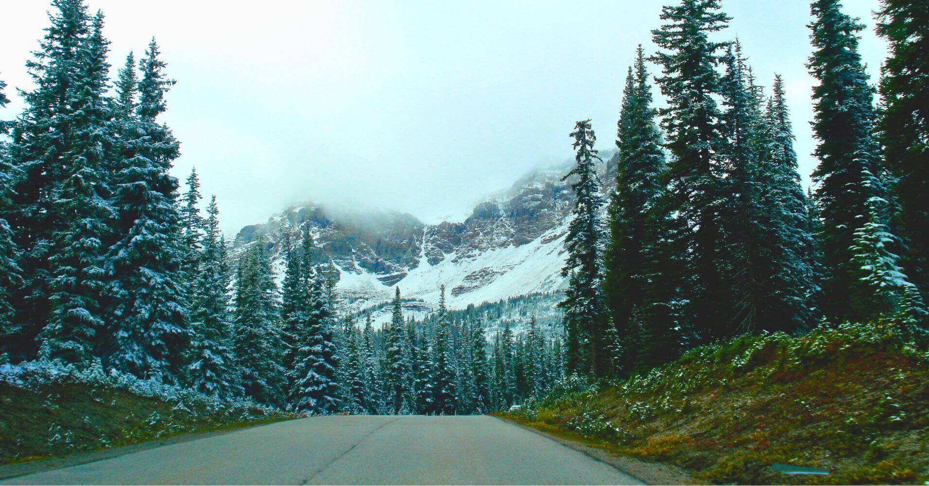Bow Pass, Parque Nacional de Banff. Alberta, Canadá.