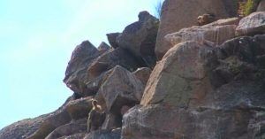 Buitreras de la Ruta en Piragua por el Bajo Alagón. Casillas de Coria. Cáceres. Extremadura.