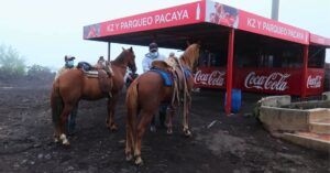 Caballos en el Volcán Pacaya. Amatitlán. Guatemala.