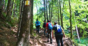 Caminando por el Bosque del Cañón de las Siete Escaleras (Canionul Sapte Scări). Montes Cárpatos. Timisu de Jos. Brasov. Transilvania. Rumanía.