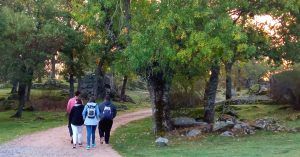 Camino de los Ermitaños de Abajo. Bosque de La Herrería en El Escorial. Madrid.