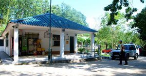 Camping Jaranda. Jarandilla de La Vera. Cáceres. Extremadura.