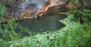 Cañón del río Lobos Soria, Burgos. Castilla y León.