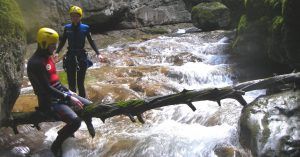 Canyoning y Barranquismo en España. Troncos Empotrados en el Cañón.