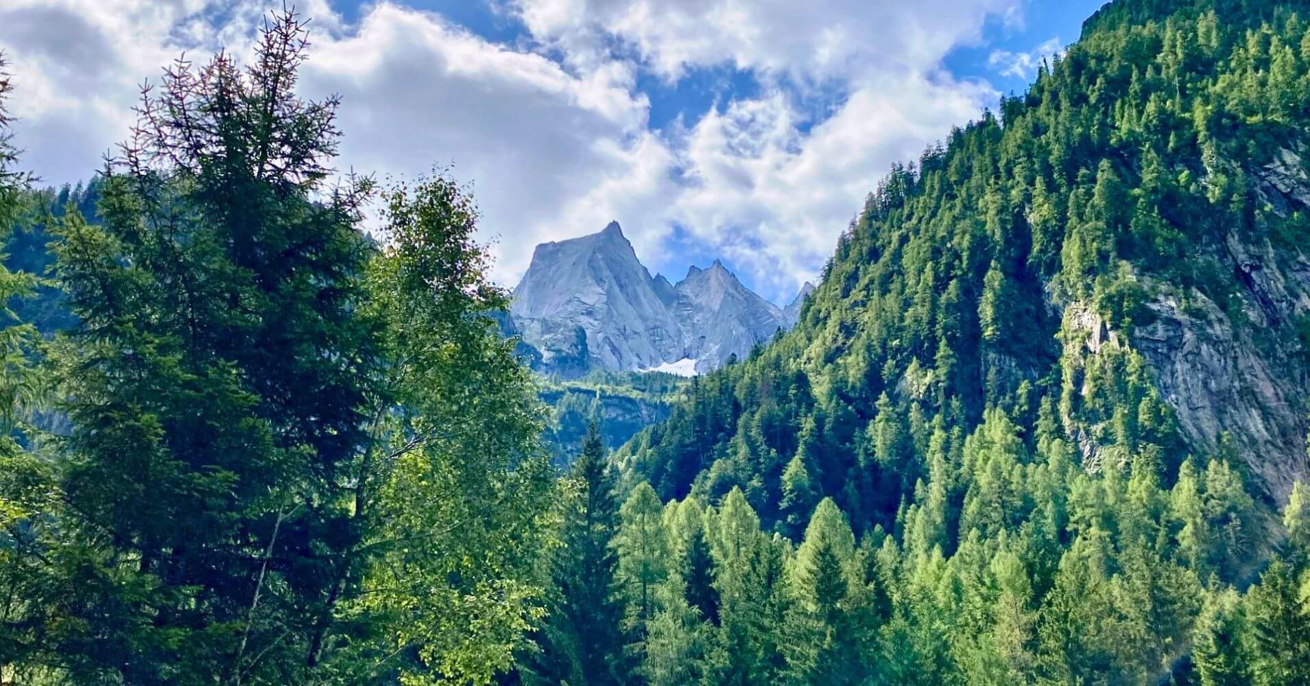 Cara Norte del Piz Badile entre el Bosque. Bondo, Valle Bondasca. Suiza.