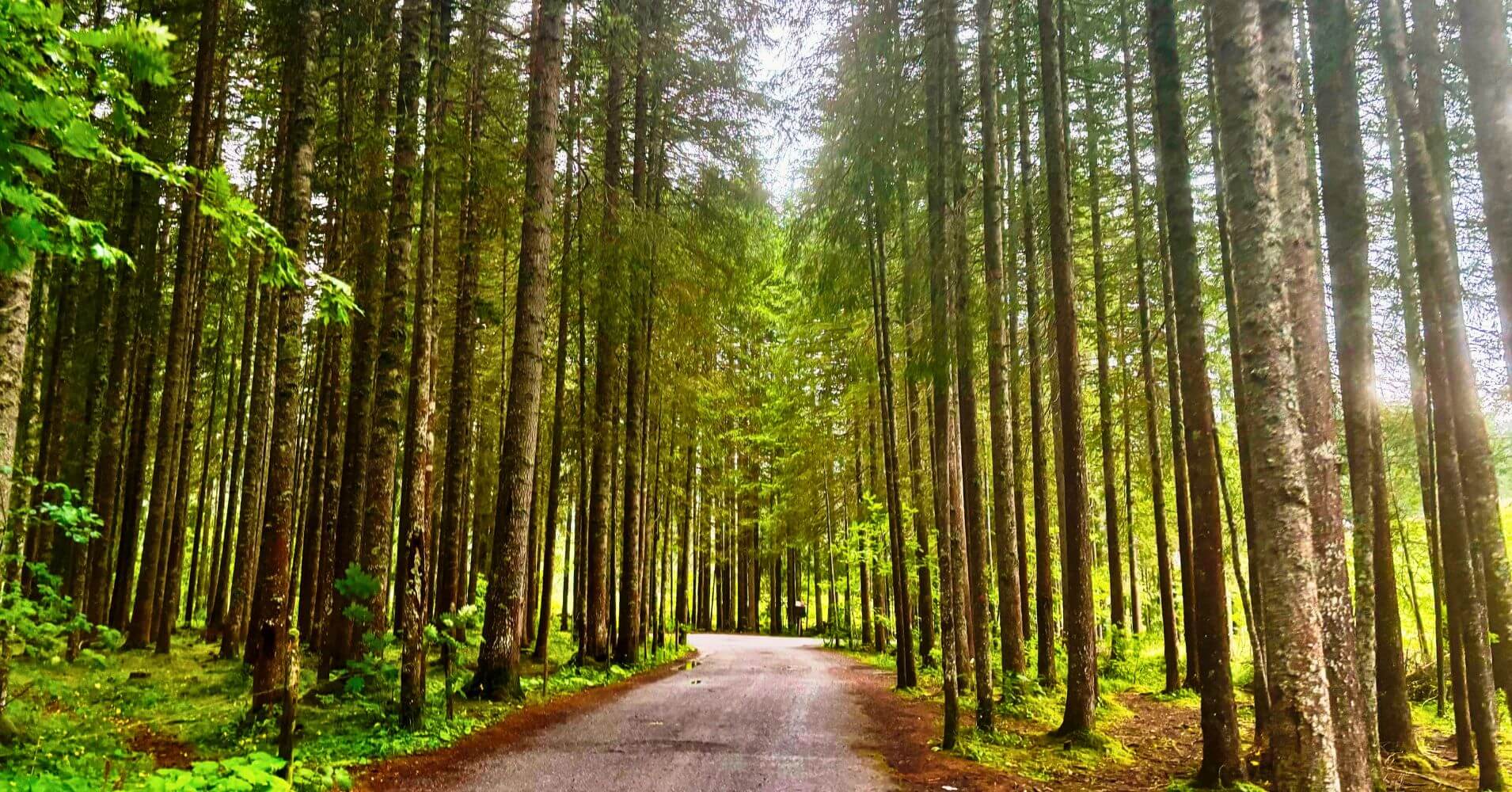 Carretera del Lago Launensee. Suiza.