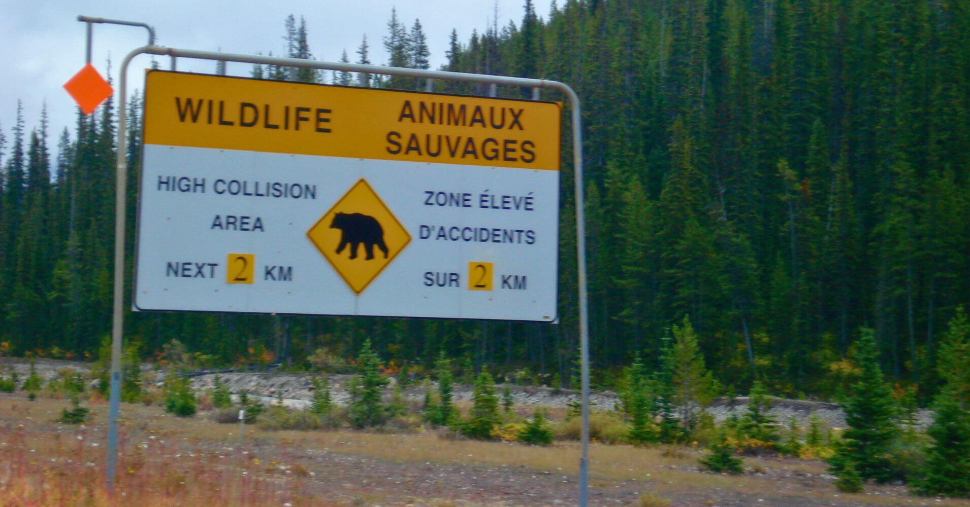 Cartel informativo del peligro de animales salvajes. Oeste de Canadá.