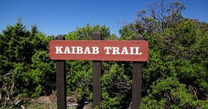 Cartel South Kaibab Trail, Gran Cañón del Colorado. Arizona, Estados Unidos.