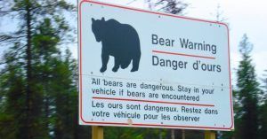Carteles de Peligro de Osos en el Lago Medicina y el Lago Maligno. Parque Nacional Jasper. Alberta, Canadá.