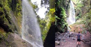 Cascada de los Tilos. La Palma. Islas Canarias.