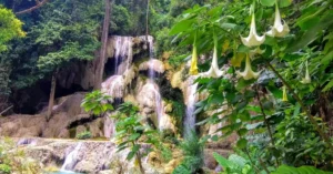 Cascadas de Kuang Si. Río Mekong, Laos.