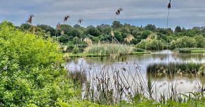 Charco de la Boca. Viaje a Huelva, Andalucía.