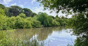 Charco del Acebrón, Viaje a Huelva. Andalucía.