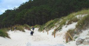 Complejo Dunar Muxieiro. Isla del Norte o Monte Agudo. Pontevedra, Galicia.