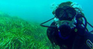 Curso de Buceo con Siroco Aventuras en Murcia.