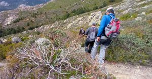 Descenso del Dinosaurio de La Maliciosa. Navacerrada. Madrid.