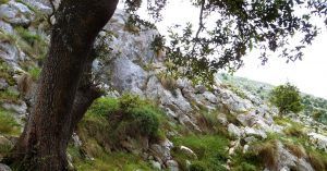 Descenso de la Vía Ferrata de la Hemida. Picos de Europa, Cantabria.