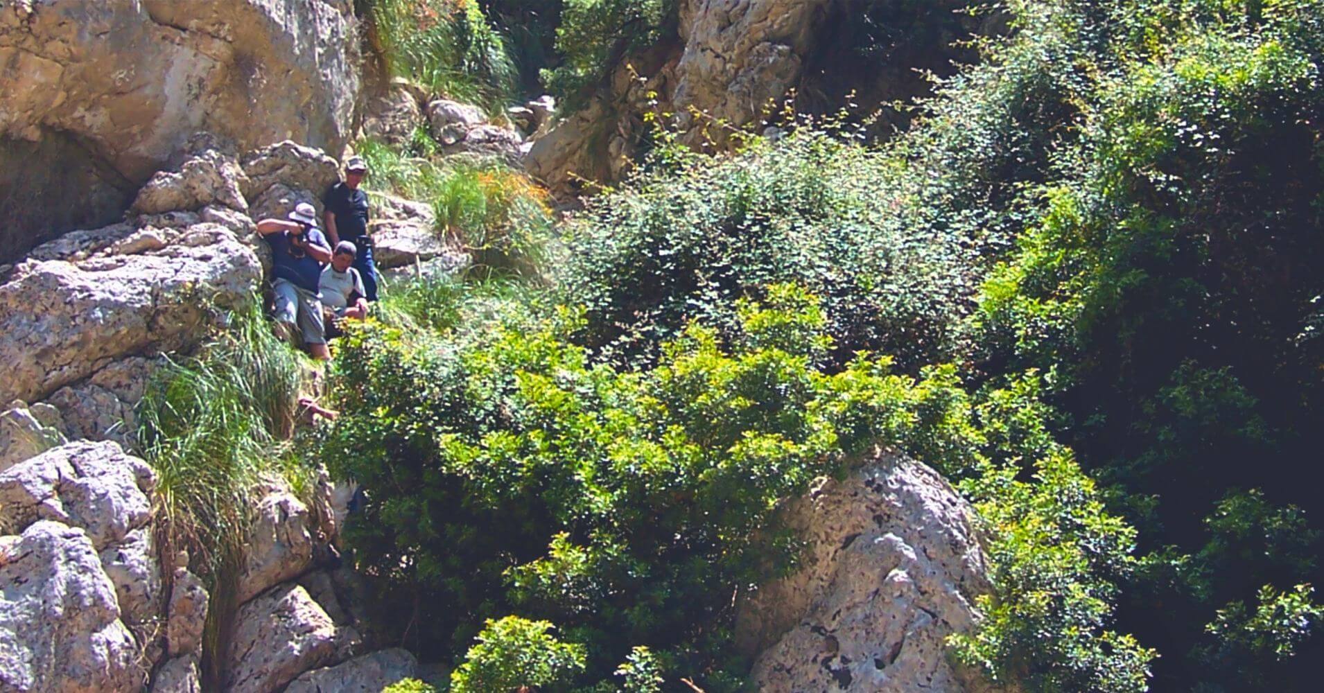 Destrepe del Torrente de Lluc. Mallorca, Islas Baleares.