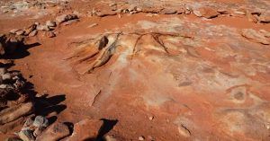 Dinosaur Tracks. Dinosaurio Fosilizado en Tuba, Arizona. Estados Unidos.