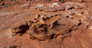 Dinosaur Tracks. Dinosaurio Fosilizado. Tuba, Arizona. Estados Unidos.