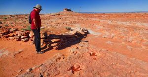 Dinosaur Tracks, Huellas de Dinosaurio. Tuba, Arizona. Estados Unidos.