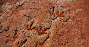 Dinosaur Tracks, Huellas de Dinosaurios. Tuba, Arizona. Estados Unidos.