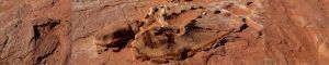 Dinosaur Tracks. Tuba, Arizona. Estados Unidos.