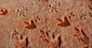 Dinosaur Tracks y Huellas de Dinosaurios. Tuba, Arizona. Estados Unidos.