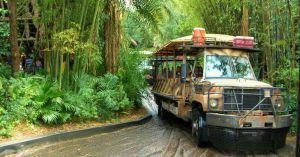 Disney's Animal Kingdom. Orlando, Florida. Estados Unidos.