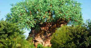 El Árbol de la Vida. Disney Animal Kingdom. Orlando, Florida. Estados Unidos.