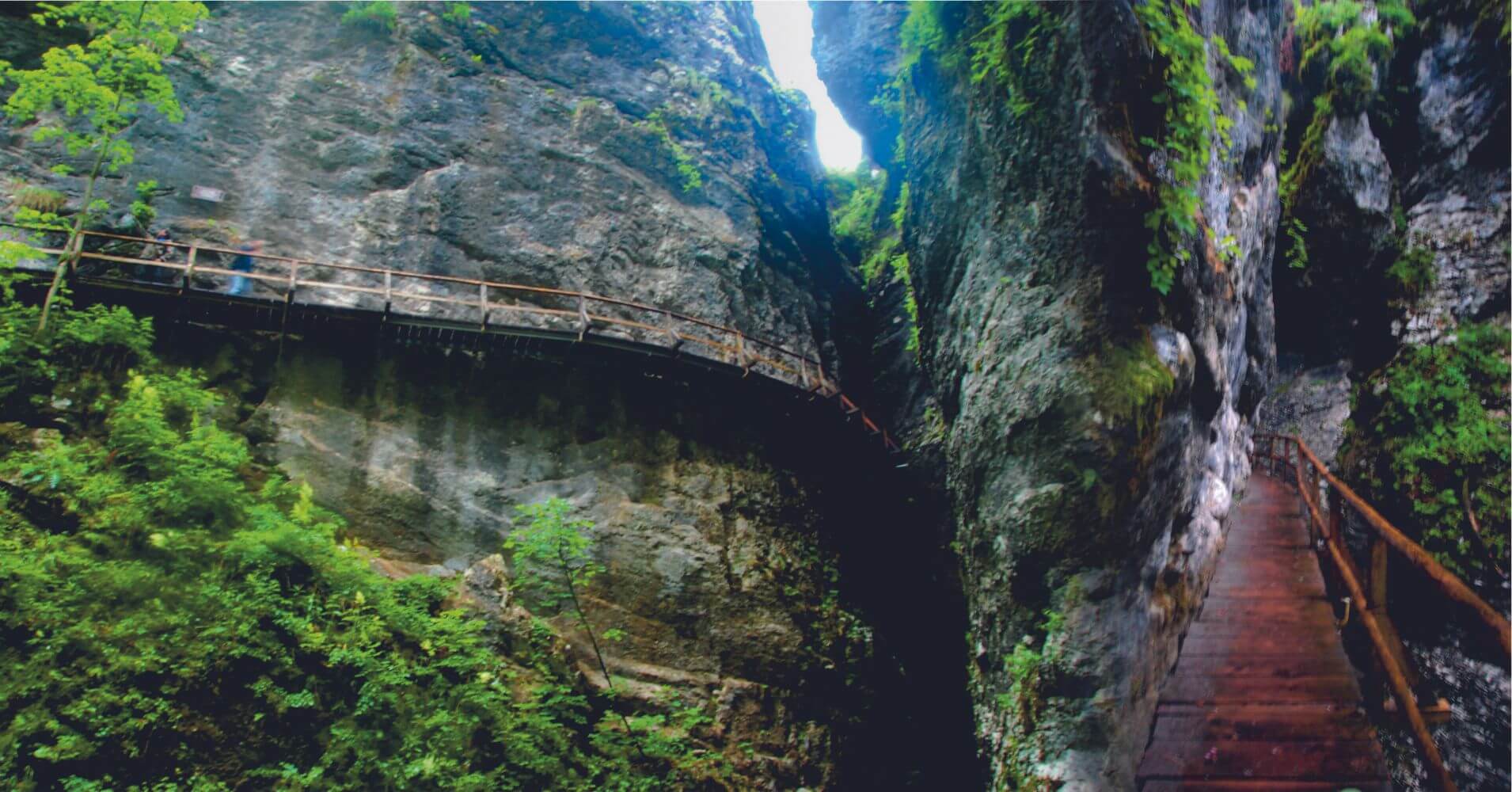El Jardín de la Garganta Pokljuka Soteska. Krinica, Alta Carnolia. Gorenjska, Parque Nacional de Trivlav. Eslovenia.
