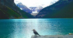 El Lago Louise, Parque Nacional de Banff. Alberta, Canadá.