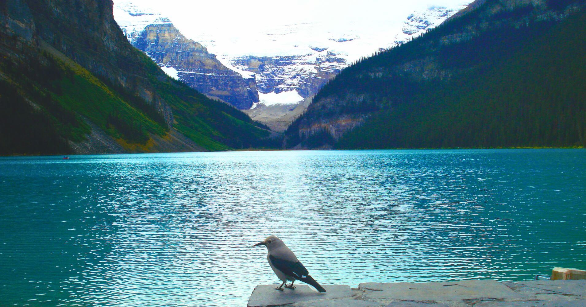 El Lago Louise, Parque Nacional de Banff. Alberta, Canadá.