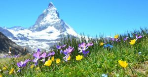El Monte Cervino, Zermatt. Suiza.