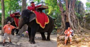 Elefante en Camboya.