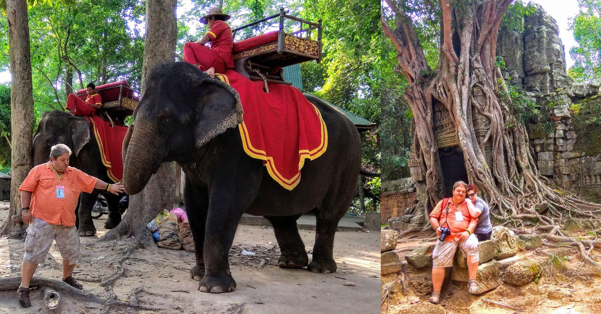 Elefante en Camboya.