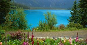 Emerald Lake, Lago Esmeralda. Parque Nacional Yoho. Columbia Británica. Canadá.