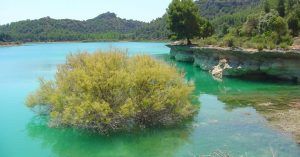 En el Parque Natural Lagunas de Ruidera. Ciudad Real, Albacete. Castilla la Mancha.