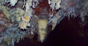 Espeleotemas y Formaciones Excéntricas de las Cuevas.