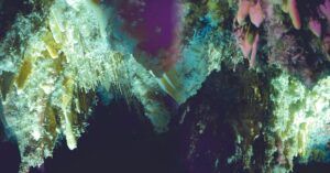 Estalactitas y Excéntricas en la Cueva El Soplao. Valdáliga, Cantabria.